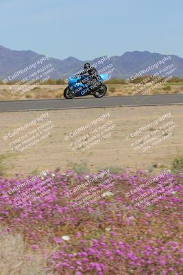 media/Mar-12-2023-SoCal Trackdays (Sun) [[d4c8249724]]/Turn 15 Inside Bloom (130pm)/